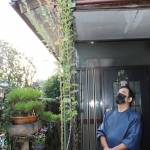 屋根より高い赤い菊 4メートルに成長 伊賀市の日原さん方