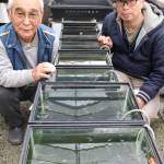 改良メダカ 研究に仲間募る 名張市の竹家さんと菅原さん