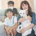 らぶペット “まったり”過ごす保護犬「さくら」 名張市の宮﨑さん方