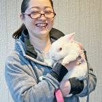 らぶペット 板東さん家のウサギたち 伊賀市