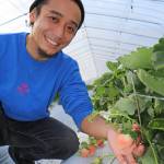 デザインから農園経営へ 「最高のイチゴを世界に」伊賀市の宮澤さん