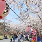 「名張桜まつり」多くの花見客でにぎわう イベント4年ぶり 模擬店やステージ