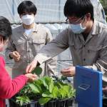心こめ育てた野菜苗 買い求める列も 奈良・山辺高山添分校