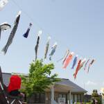 こいのぼり悠々と 住民提供の大小35匹 名張市百合が丘