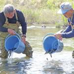 稚アユ450キロ放流 釣り6月24日解禁 名張川漁協