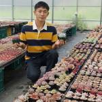 多肉植物ずらり「魅力知って」 ハウスで温室栽培 名張の森さん