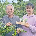 「茶畑を再生したい」 研究所立ち上げ茶の実油商品化 名張市の中森さん