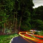 幻想的な光跡 ホタル乱舞 名張川沿いの市道