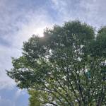 3日連続で猛暑日 伊賀市で