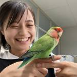 迷いインコ、名張署で保護 会社員の肩でSOS ウサギに続き署員の人気者に