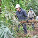 近大農学部生が伐採体験 山添村で