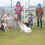 ドッグラン「気持ち良く使って」 愛犬家ら有志が環境整備 名張