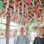 風鈴1700個 風に揺られ涼しげに 伊賀・広禅寺で