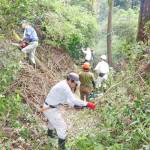 天正伊賀の乱の終戦地・柏原城址を整備 地元ボランティア 名張