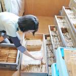 コケやシダの標本2500点、県立博物館へ寄贈 採集60年・伊賀の菊山さん