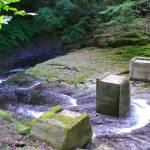 赤目四十八滝で「熊らしき動物」 観光客が目撃 28日に入山規制 名張