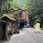 熊の姿や痕跡確認できず 赤目四十八滝の入山規制一部解除へ 名張市