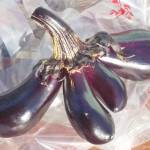 四つ子のナス!? 宇陀市の尾崎さんが畑で収穫