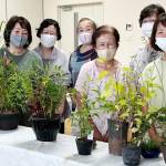 会場彩る季節の草花 「すみれ会」作品展 28、29日に伊賀市で