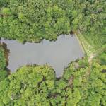 【伊賀の珍名池】なめんだら池 住民も聞いてびっくり