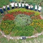 学校花壇のコンクール 名張・箕曲小が初の大賞