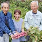 大和野菜 片平あかね祭り 23日に奈良・山添村の生産地で