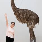 137種の鳥紹介 県総合博物館 12月10日まで