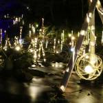 2000個の「竹あかり」 赤目四十八滝を照らす 名張