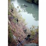 陸自隊員が高石垣で作業 雑木を伐採 伊賀上野城で