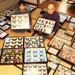 昆虫標本3500点、92歳が26歳に無事託す 記事きっかけ 名張