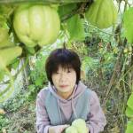 食感生かした料理に ハヤトウリ栽培 名張の羽根さん