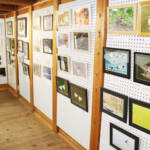 野鳥・昆虫・草花 自然楽しむ写真展 2月4日まで名張で