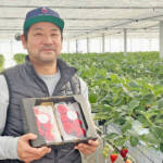 夢広げるイチゴ農家 ブランド化も 名張市の津田さん