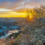 春香る奈良・月ヶ瀬へ 「梅まつり」11日から 展示・イベント・写真コンも