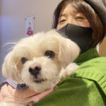 らぶペット 愛嬌満点な「るぅ」 梶原さん家族の愛犬 名張