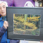 「黄金龍」現る? 伊賀の中井さん撮影の紅葉