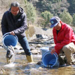 滝川にアマゴ600匹放流 渓流釣り16日解禁 名張川漁協
