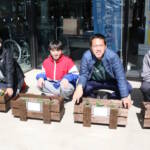 地域に花届け笑顔に 伊賀市役所にパンジー つばさ学園生徒が贈る