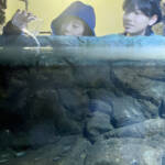 川魚「アマゴ」を子どもたちが水槽へ 赤目滝水族館開業に向け 名張