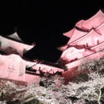 桜イベント情報 伊賀地域と近隣