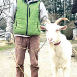 らぶペット ヤギ2匹、犬1匹と坂口さん家族 伊賀