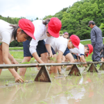 つなぐ棚田遺産「西山の棚田」 上野北小の児童が田植え体験 伊賀