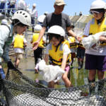 ナマズの遡上・産卵の助けに 小学生ら魚道設置 名張川支流で