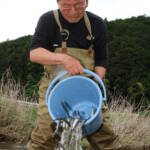アユの稚魚450キロ放流 釣り6月22日解禁 名張川漁協