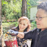 愛らしい野鳥に手作りケーキ 柴さん親子 伊賀市