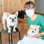 らぶペット ワンダフルライフ 堀之内さん家の「バズ」と「レックス」 伊賀