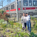 ハーブの香り漂う畑 27日に伊賀市沖でイベント
