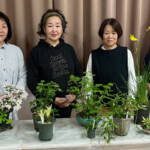 爽やかな寄せ植え 8、9日に伊賀で展示会 浅利さん