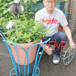 鉄筋で生み出すアート ものづくりが生きがいに 名張の相良さん