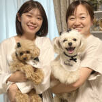 らぶペット 愛犬はわが家の癒やし 伊賀市の山本さん家族